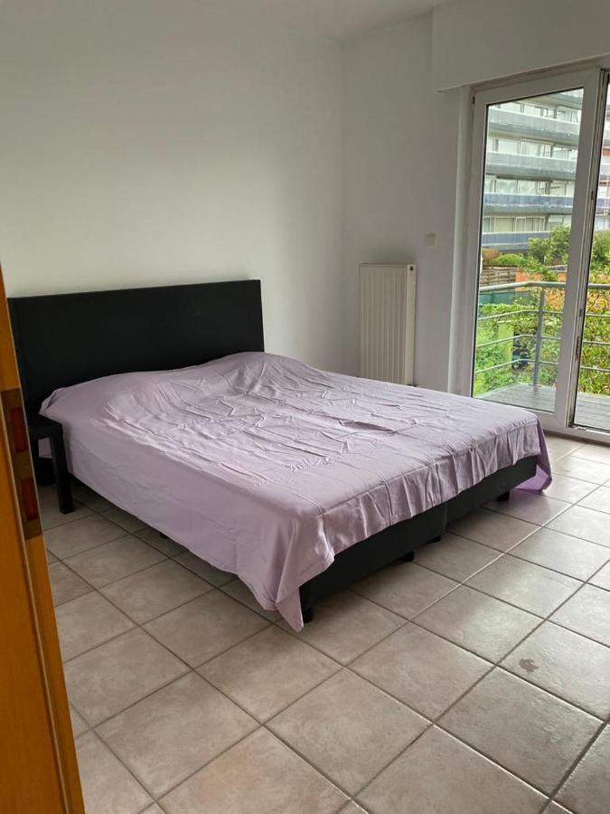 Superbe Appartement Lumineux Et Spacieux แอนต์เวิร์ป ภายนอก รูปภาพ